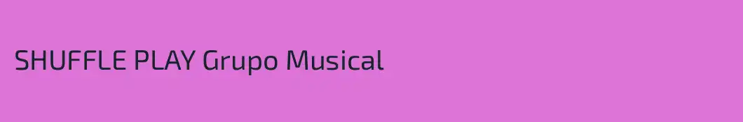 SHUFFLE PLAY Grupo Musical